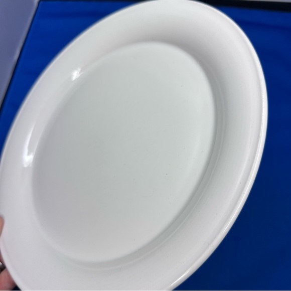 Nancy Calhoun Multicolor Dinner Plates in 4 Colors - Picture 4 of 12